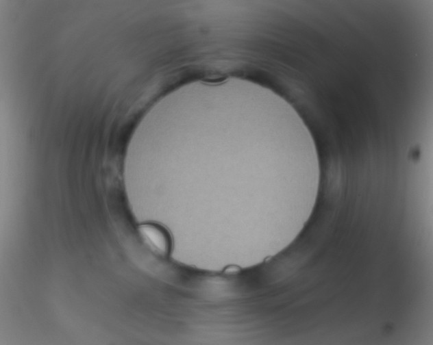 X0000115200236200911251451