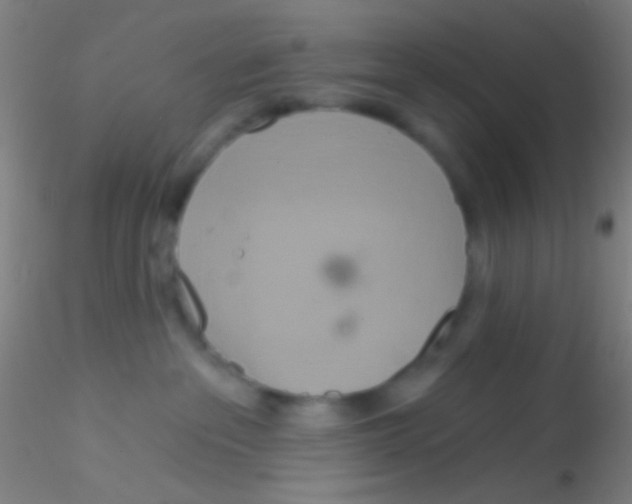 X0000115200237200911251451