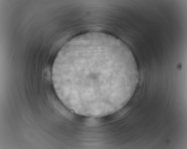 X0000115200238200911251451