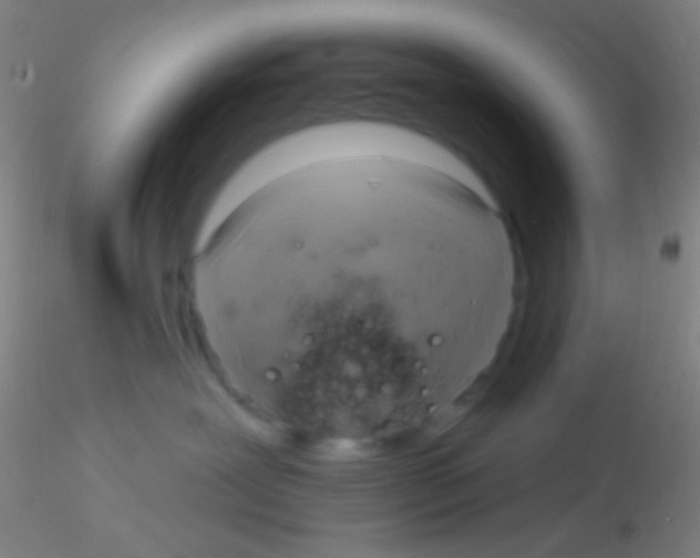 X0000115200239200911251451