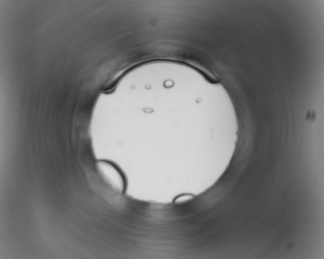 X0000115200240200911251451