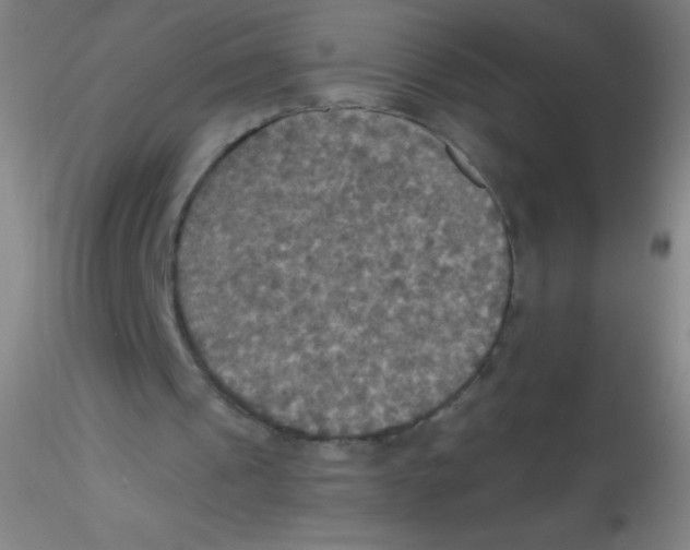 X0000115200241200911251450