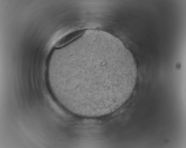 X0000115200242200911251450