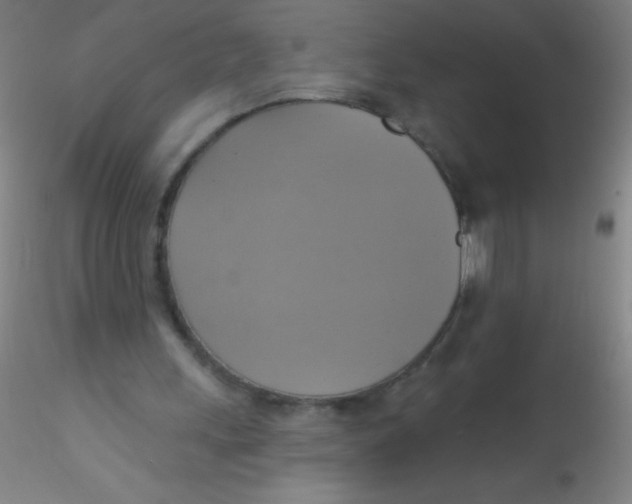 X0000115200243200911251450