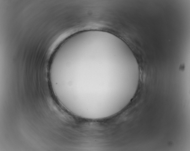 X0000115200244200911251450