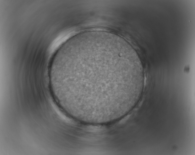 X0000115200245200911251450
