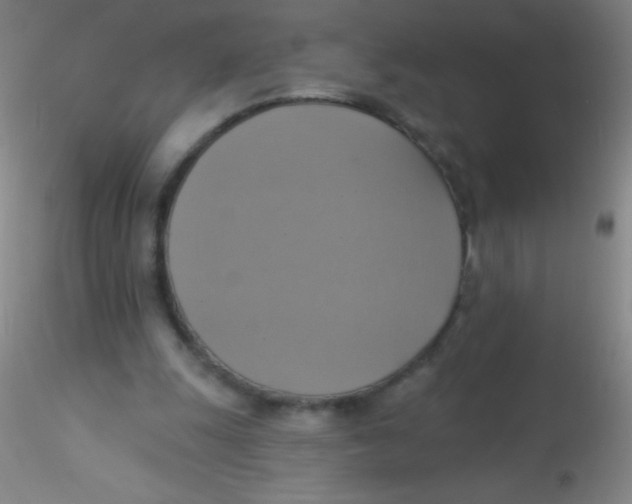 X0000115200247200911251450