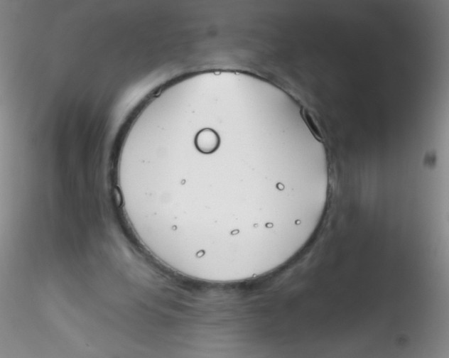 X0000115200248200911251450