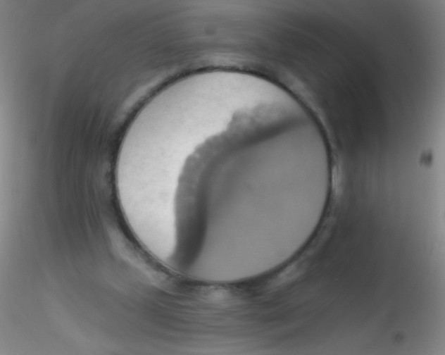 X0000115200249200911251450