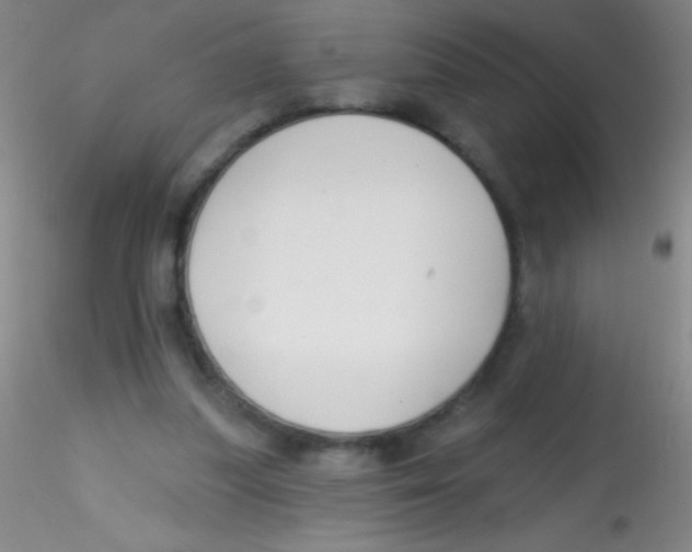 X0000115200251200911251450