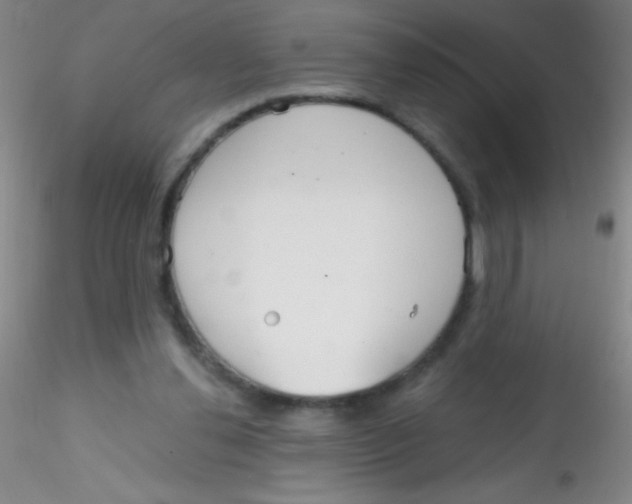 X0000115200252200911251450