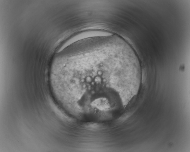 X0000115200253200911251450