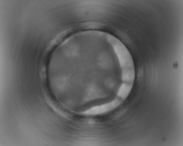 X0000115200254200911251450