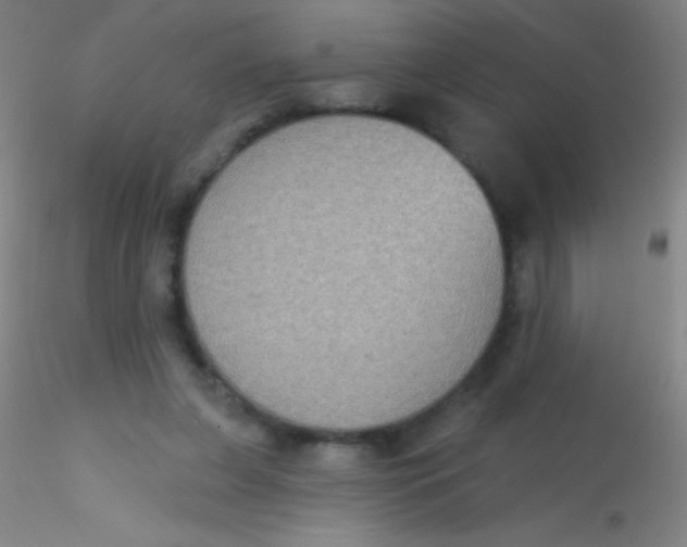 X0000115200255200911251450