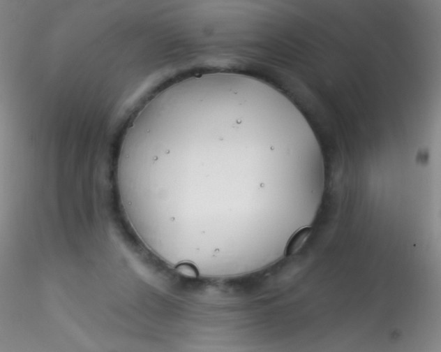 X0000115200256200911251450