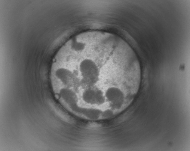 X0000115200257200911251450
