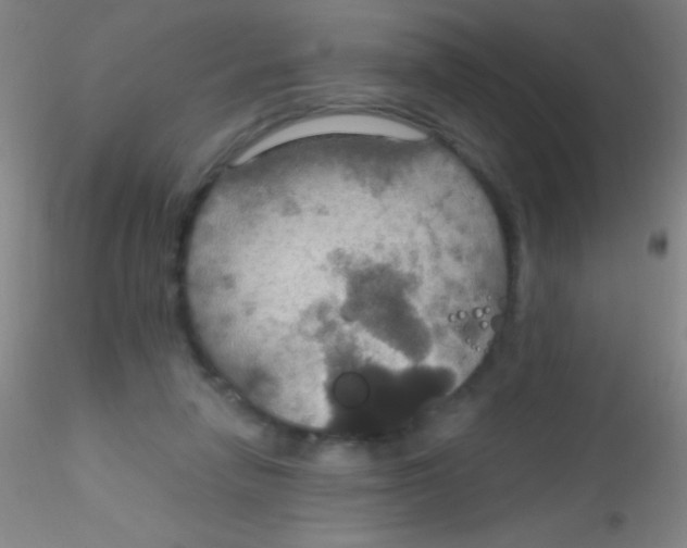 X0000115200258200911251450