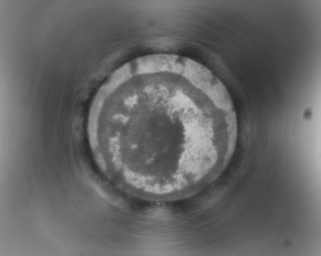 X0000115200259200911251450