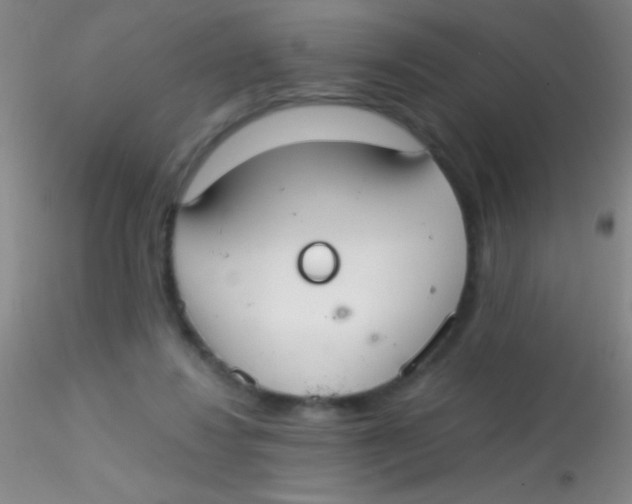 X0000115200260200911251450