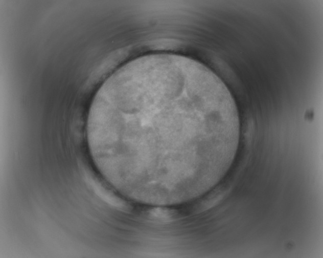 X0000115200261200911251450