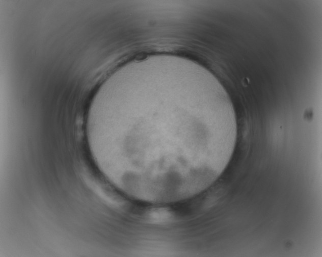 X0000115200262200911251450