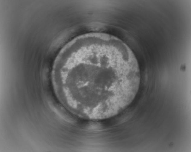 X0000115200263200911251450