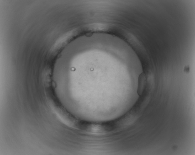 X0000115200264200911251450