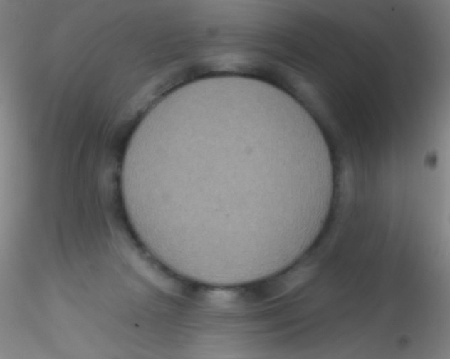 X0000115200265200911251450