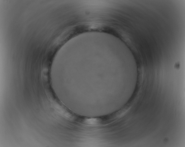 X0000115200269200911251450