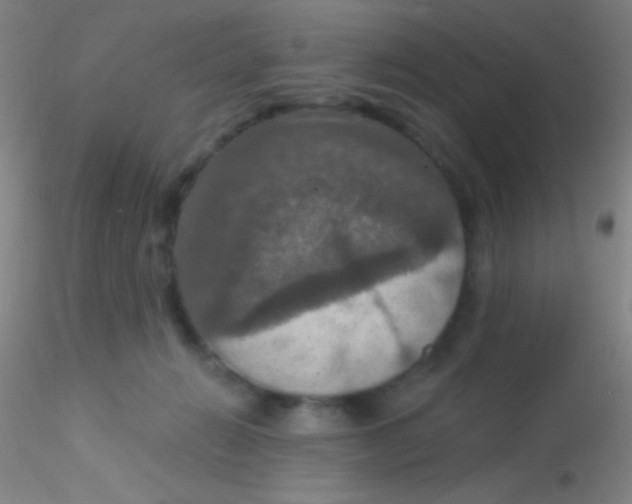 X0000115200270200911251450