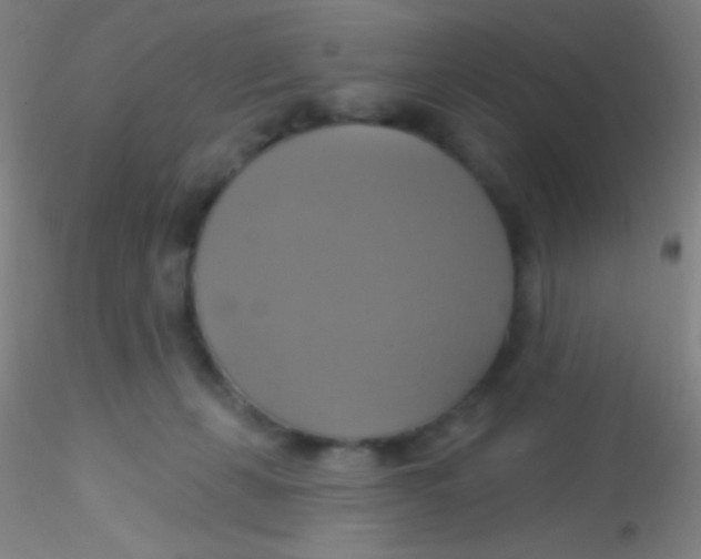 X0000115200271200911251450