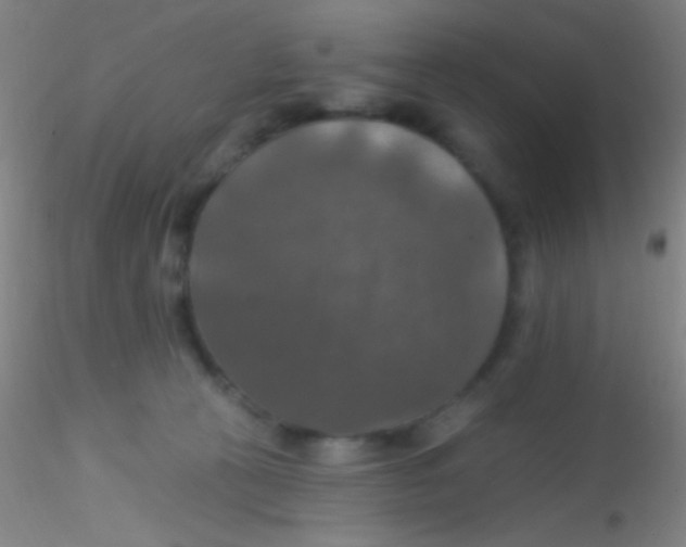 X0000115200273200911251450