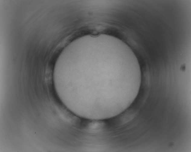 X0000115200274200911251450