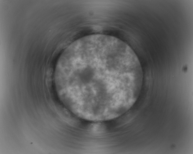 X0000115200275200911251450