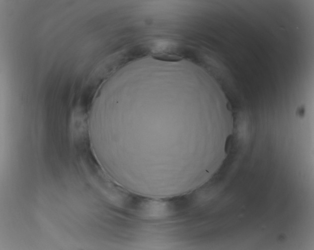 X0000115200276200911251450