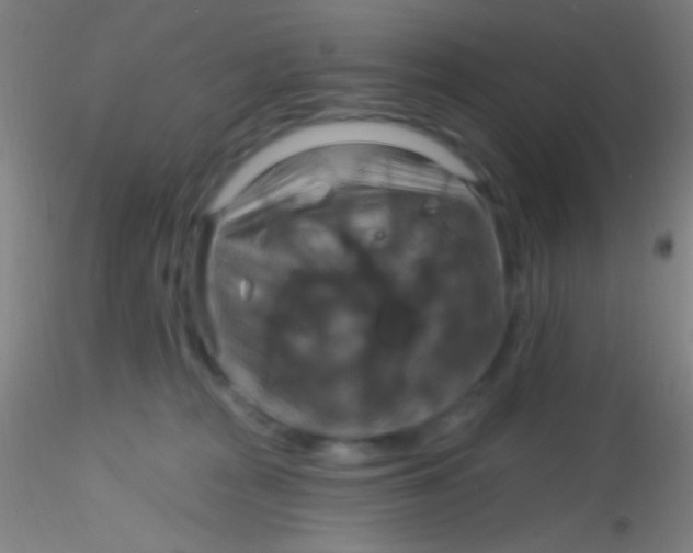 X0000115200277200911251450