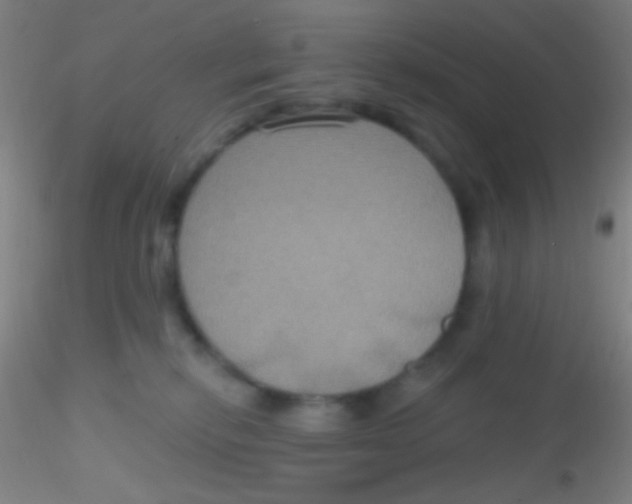 X0000115200278200911251450