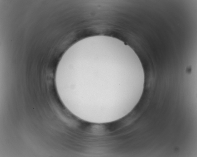 X0000115200279200911251450