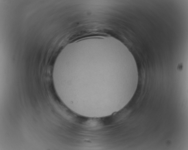 X0000115200280200911251450