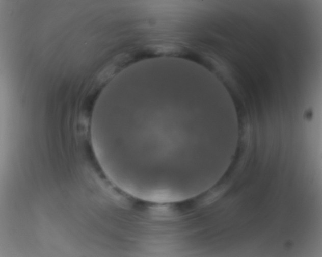 X0000115200281200911251450