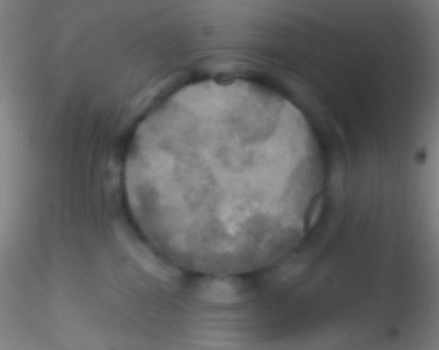 X0000115200282200911251450