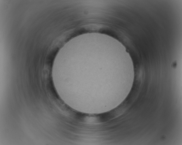 X0000115200283200911251451