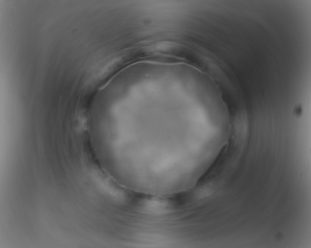 X0000115200284200911251451