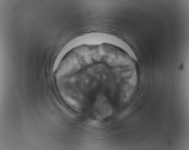 X0000115200285200911251451