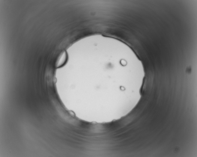 X0000115200287200911251451