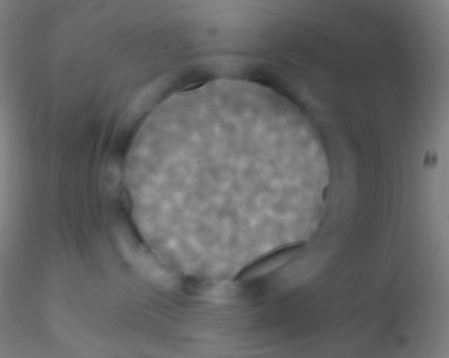 X0000115200288200911251451