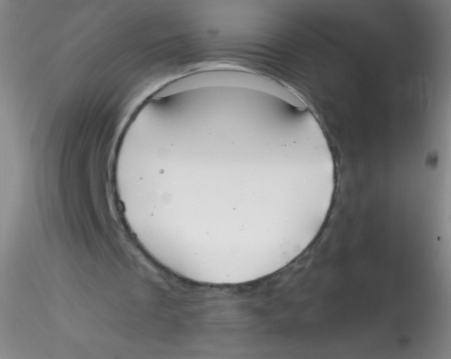 X0000115200289200911251450