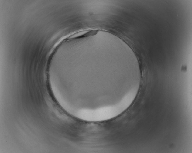 X0000115200290200911251450