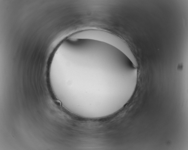 X0000115200292200911251450