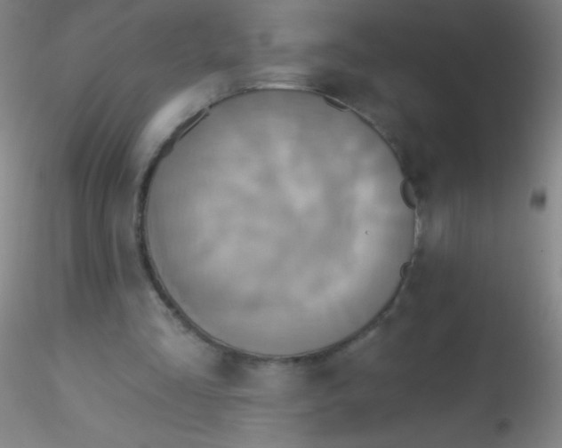 X0000115200293200911251450